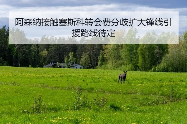 阿森纳接触塞斯科转会费分歧扩大锋线引援路线待定